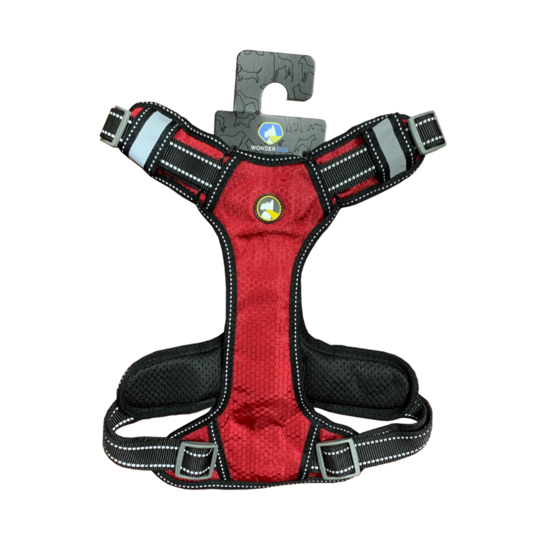 BD821XL
