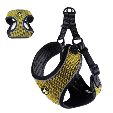 ARNES WONDER MAX XS