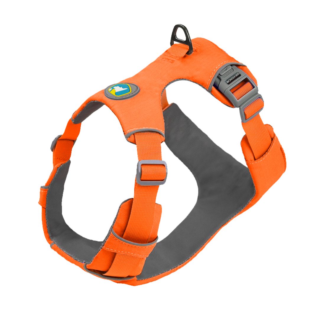 Arnés para perro Guau Guard color naranjo desde la talla XS a la XL marben pets wonder dog